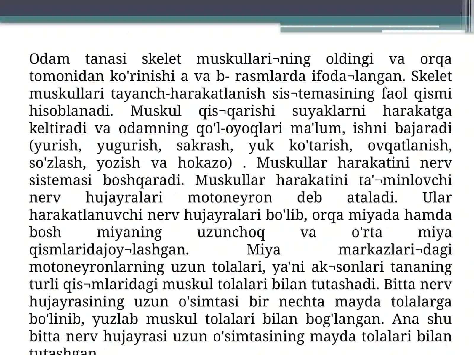 Tanamuskullari 4