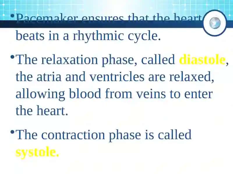 Nature of the Heart Beat 4