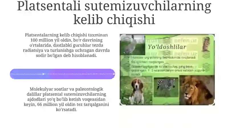 Platsentali sutemizuvchilarning kelib chiqishi va evolyutsiyasi 4