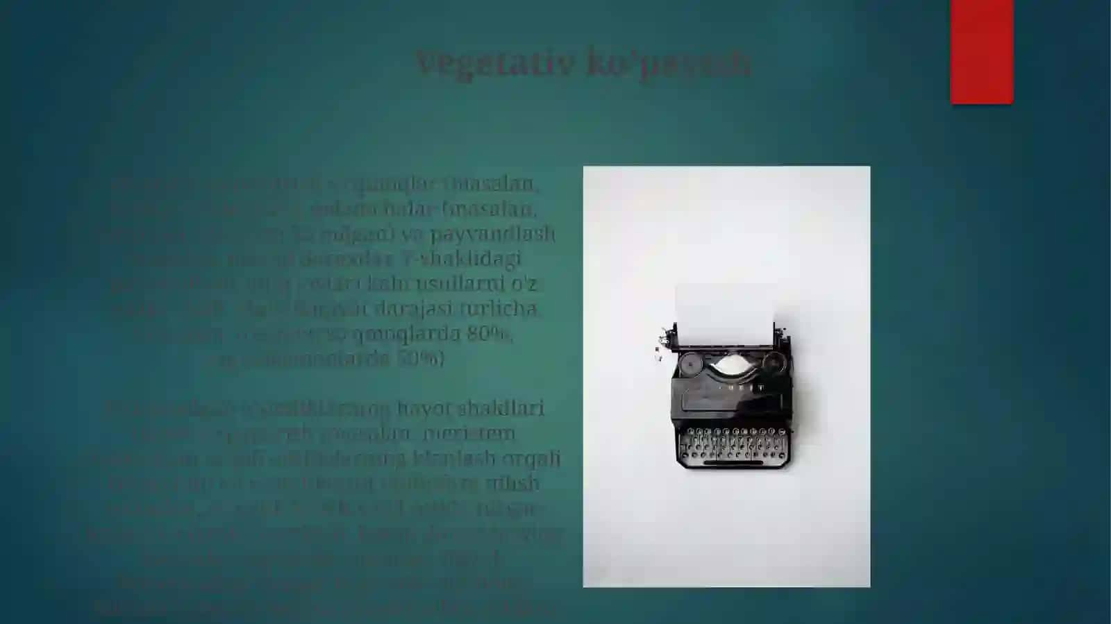 Gullioʻsimliklarninghayotiyshakllarigadoirmasalamashqlar 4