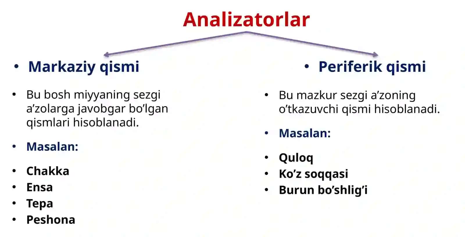 KO’RISH VA ESHITISH ANALIZATORI 4