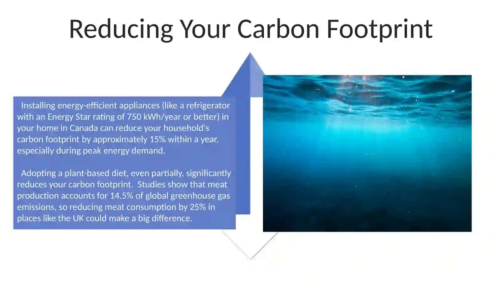 Create an environmental campign to protect our planet 4