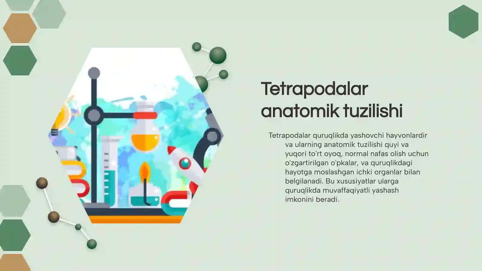 Tetrapodalar va morfofiziologik xususiyatlari 4