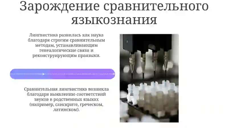 Развитие языкознания как науки 4