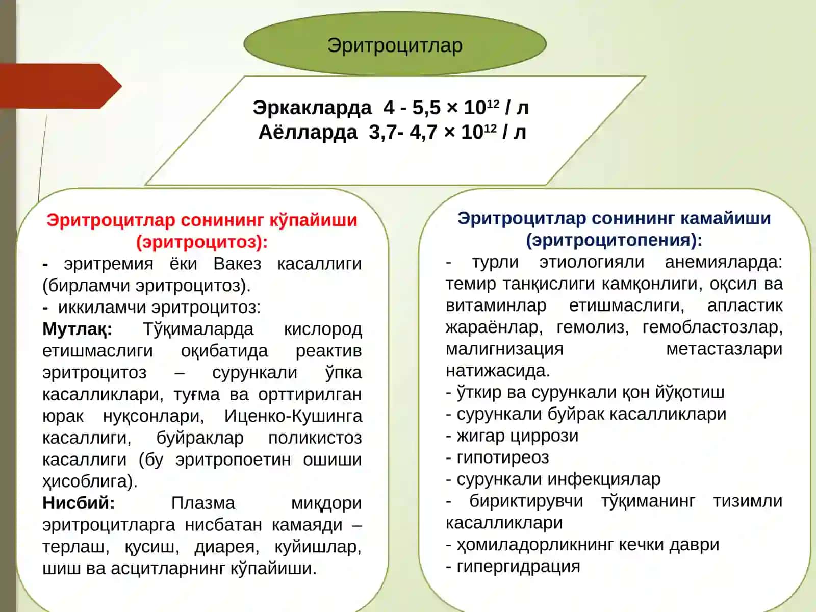 Қон умумий таҳлили интерпретатцияси 4