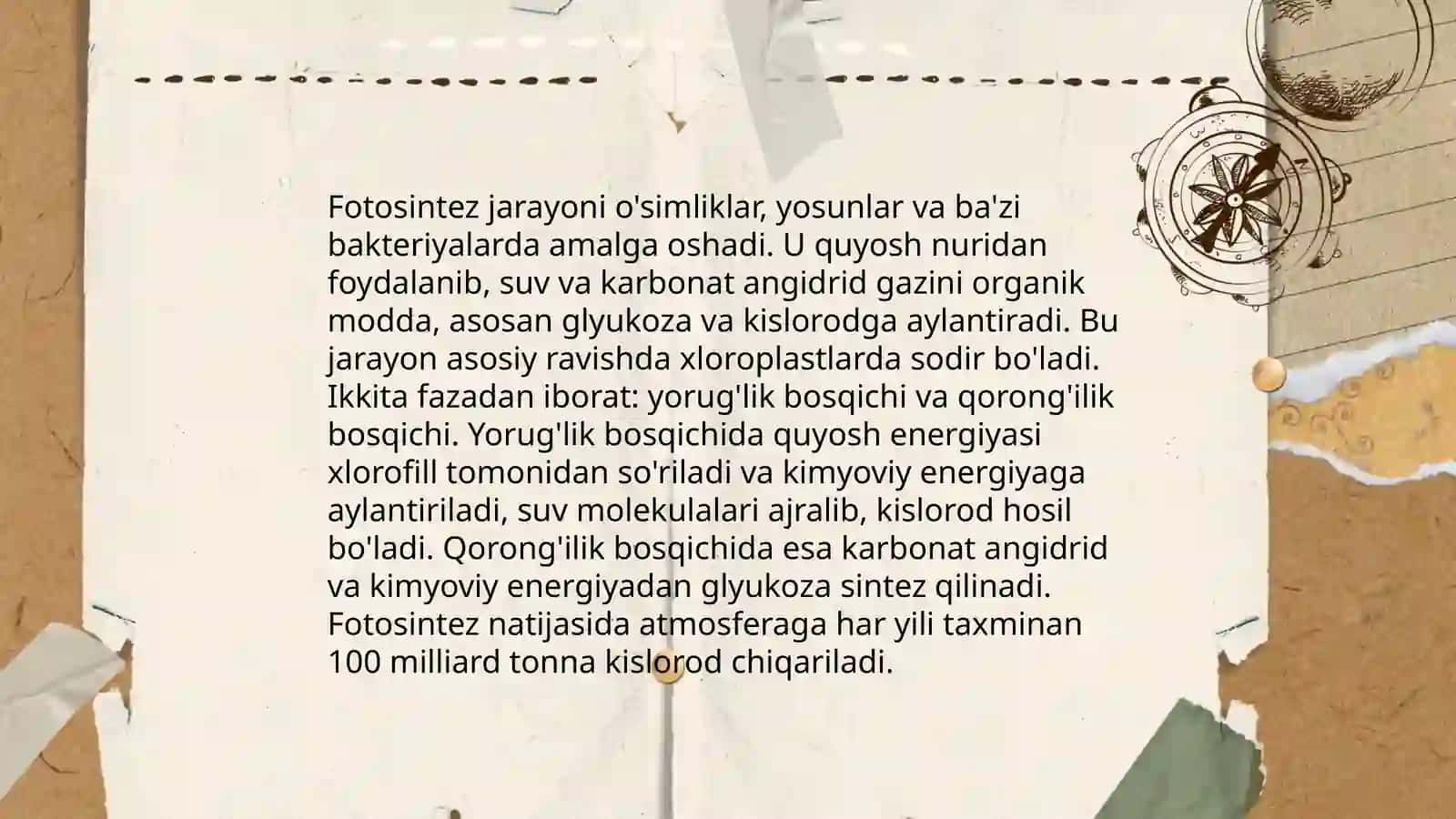 Oʻsimliklar dunyosi va ularning hayot tarzi 4