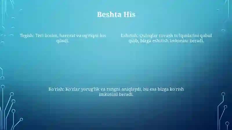 Sezgi organlari 4