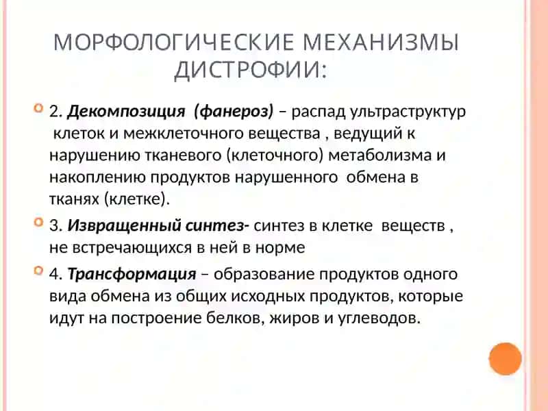 ДИСТРОФИИ 4