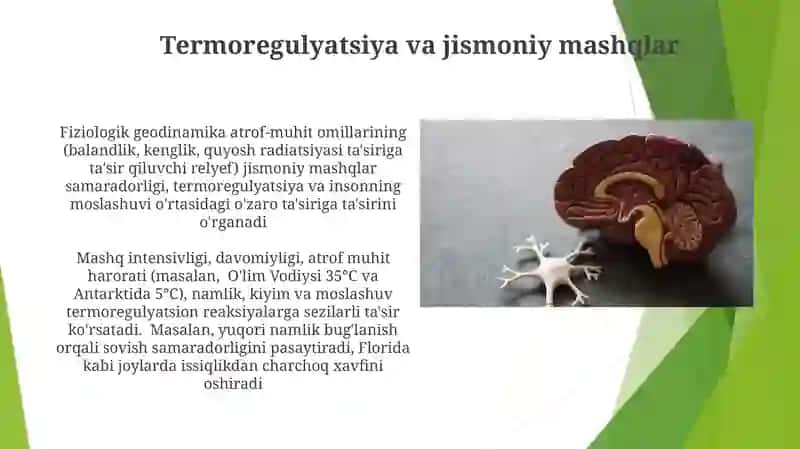 Harakatning Neyron Nazorati 4