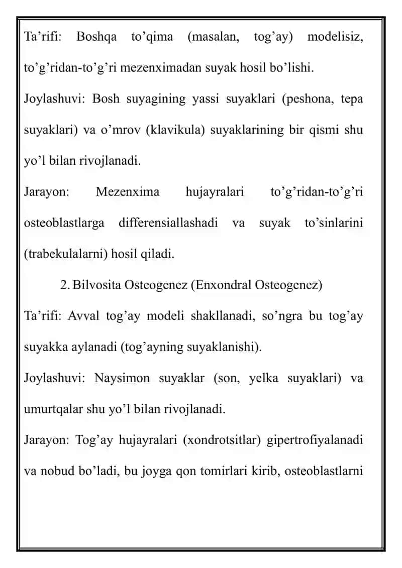Suyak To’qimasi 4