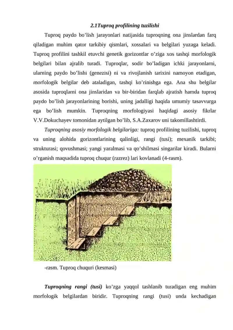 TUPROQning MORFOLOGIK tuzilishi 4