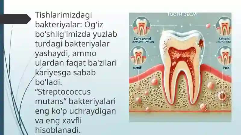 Kariyes haqida tushuncha 4