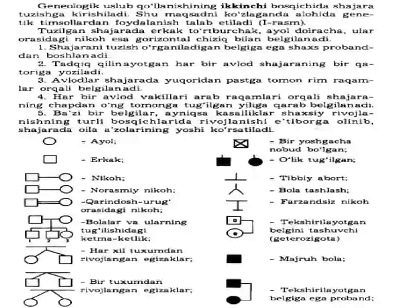 Odam genetikasining òrganish usullari, genealogik va egizaklar usuli. populyatsion statistik 4