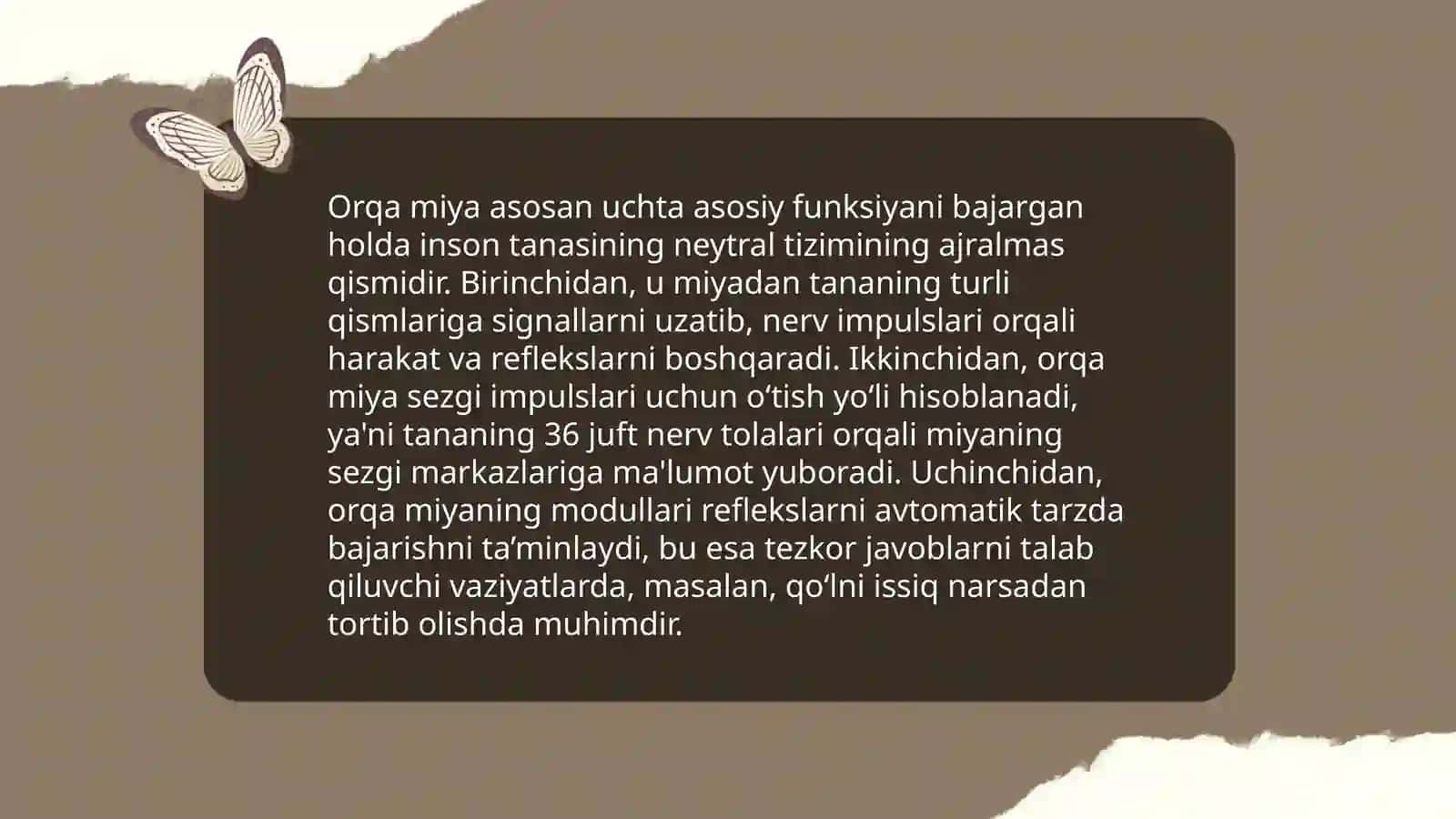 Orqa miyaning tuzilishi 4
