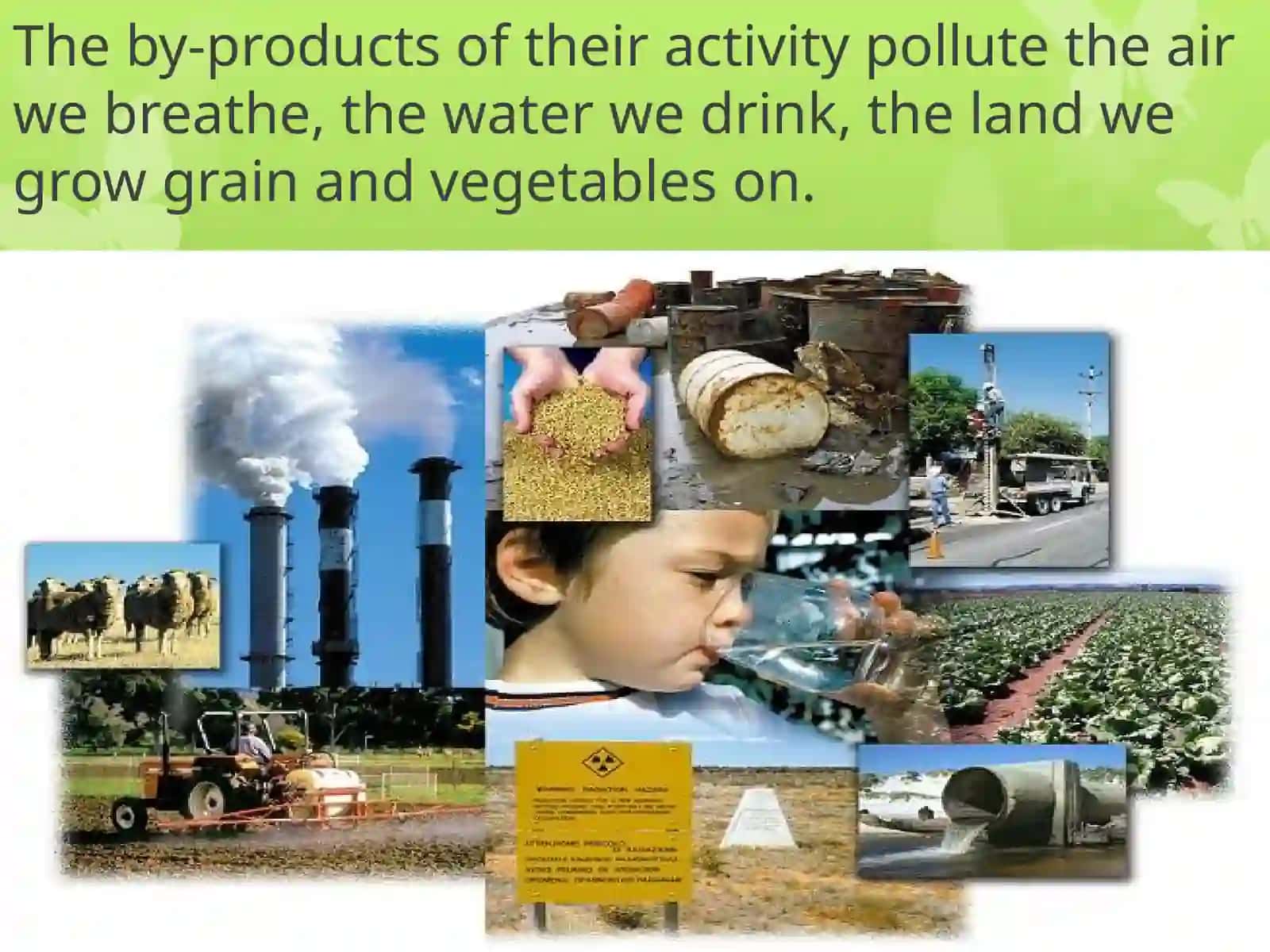 Ecological problems 4