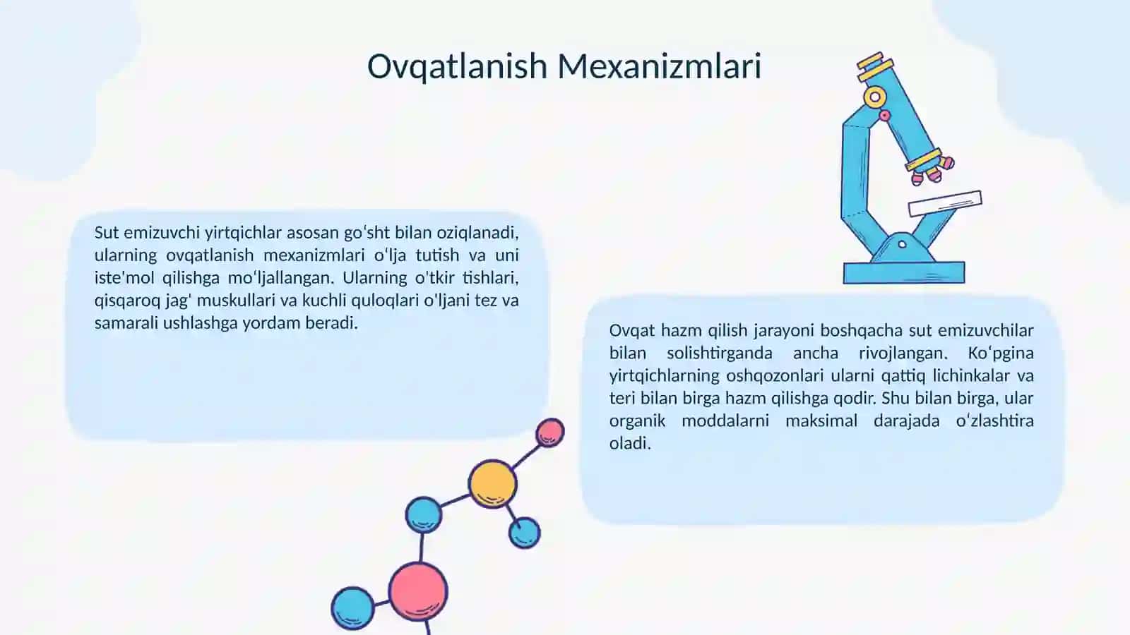 Sut emizuvchi yirtqichlar 4