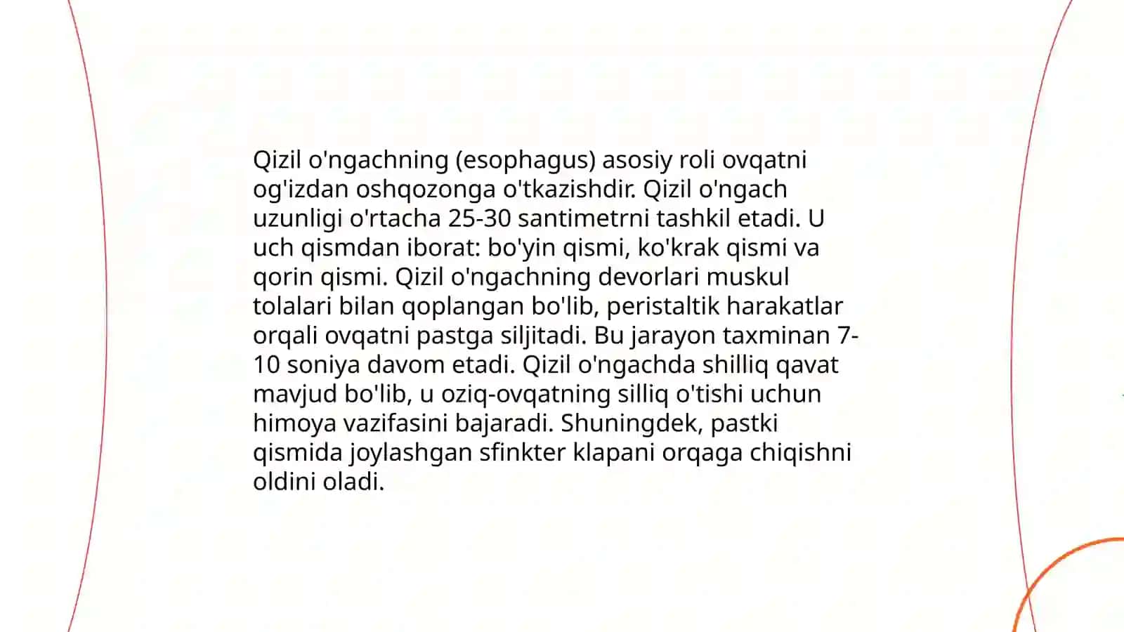 Ovqat hazm qilish 4