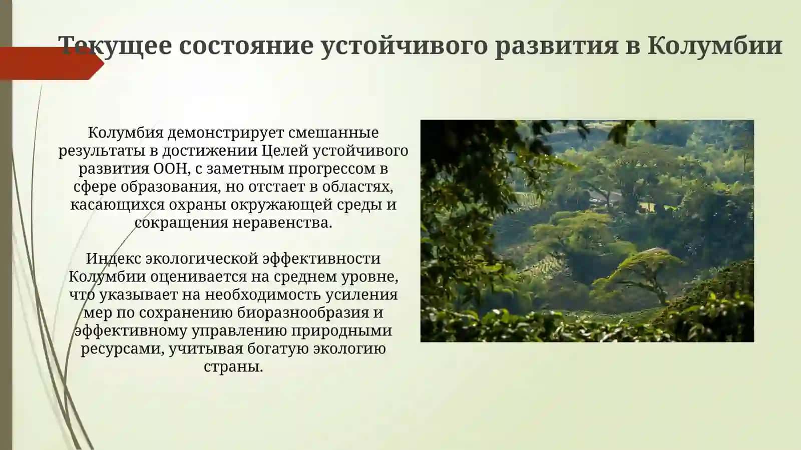 Зеленая экономика в Колумбии 4