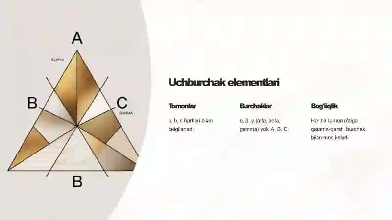 Uchburchak yuzini burchak sinusi yordamida hisoblash 4