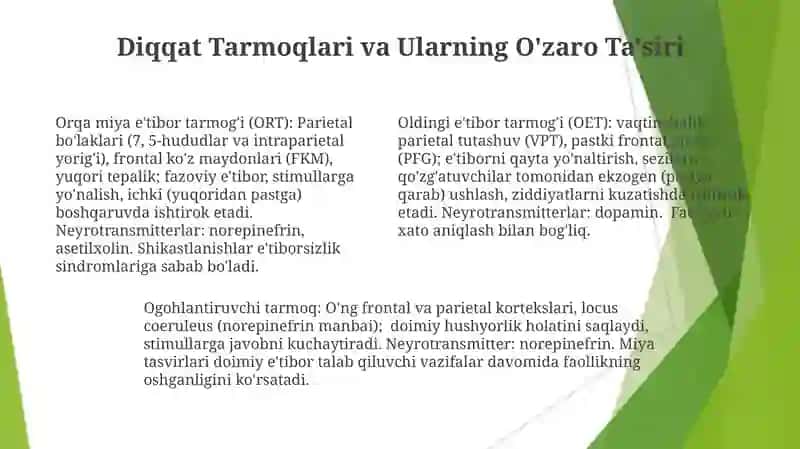 Diqqat tanqisligi va nevrologik kasalliklar 4