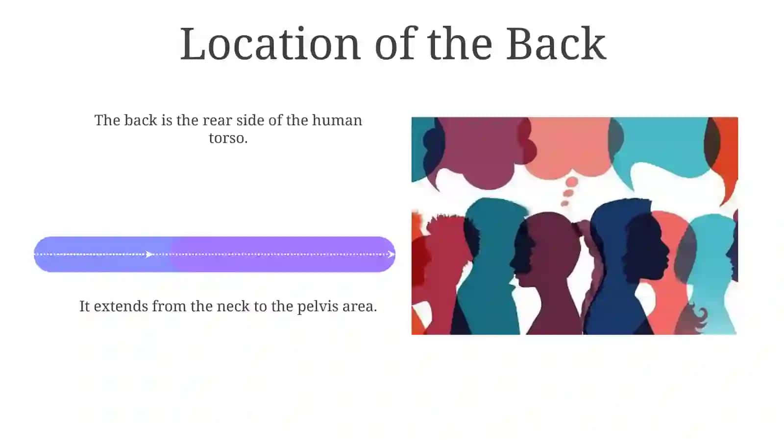 Presentation on the Back 4