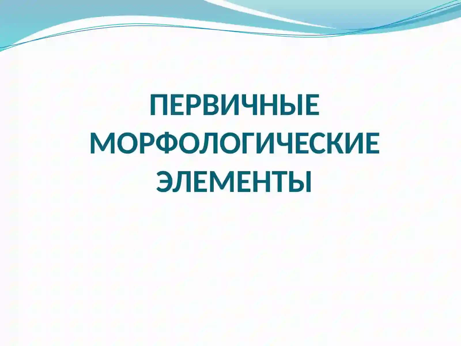 Морфологические элементы кожной сыпи 4