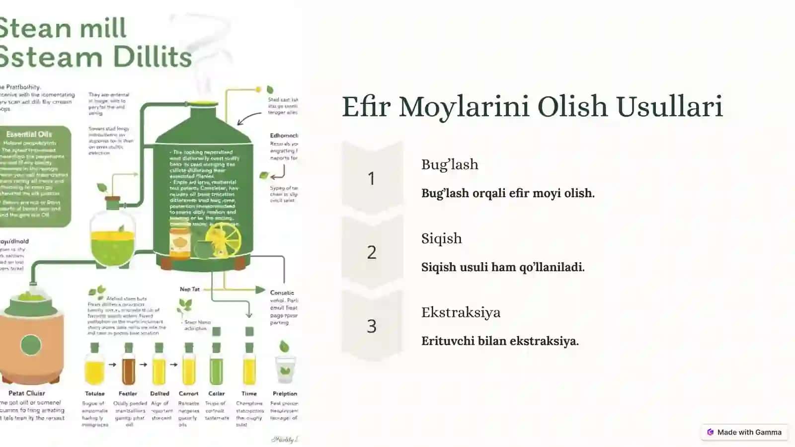 Efir Moyli O’simliklar 4