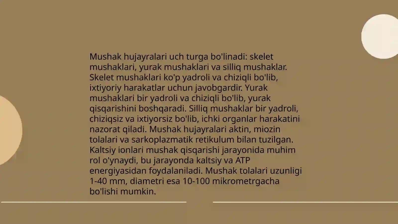 Silliq mushak fezologiyasi 4