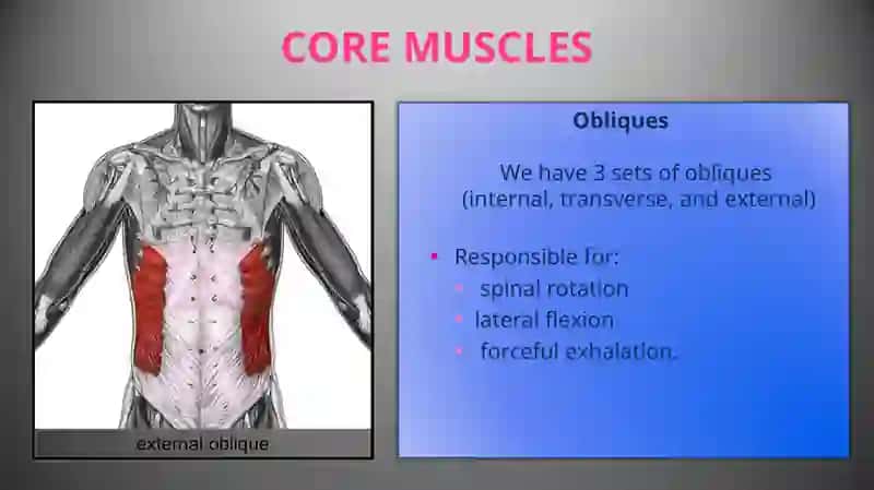 Structure of the core 4