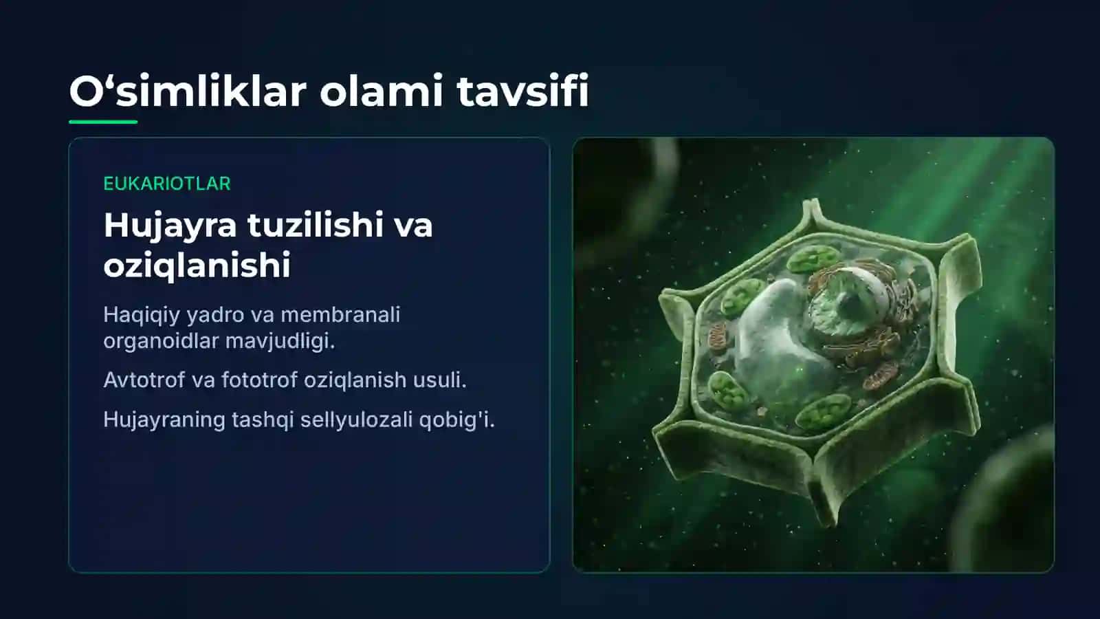 eukariot hujayralar 4