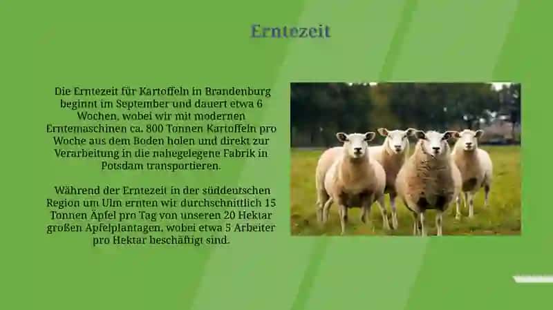Mein Arbeitstag in der Farm 4