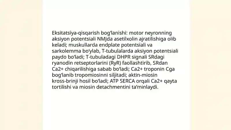 Mushaklarning ishi va biomexanikasi 4
