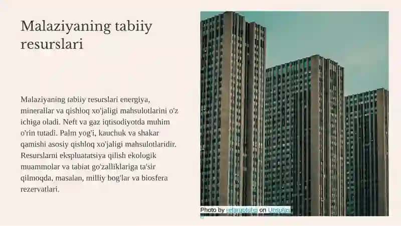 Malaziyaning iqtisodiy geografik va turistik tavsifi 4