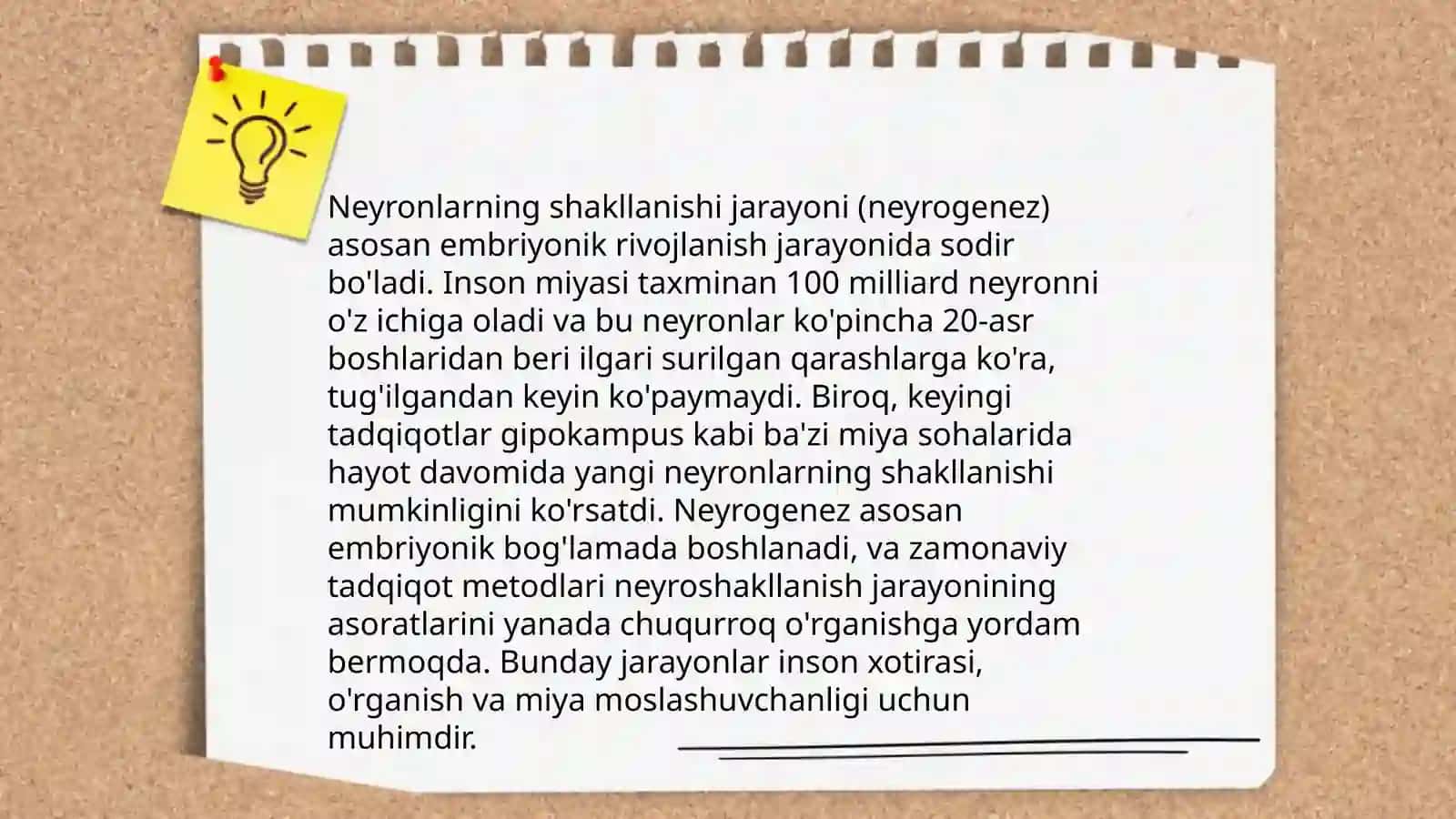 Odam embriologiyasining qaltis davrlari 4