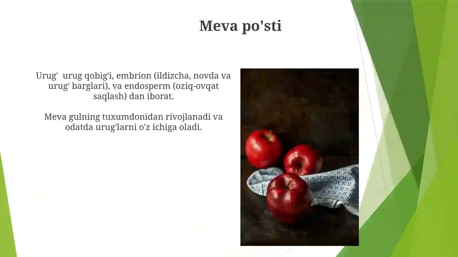 Urug' va meva tuzilishi 4