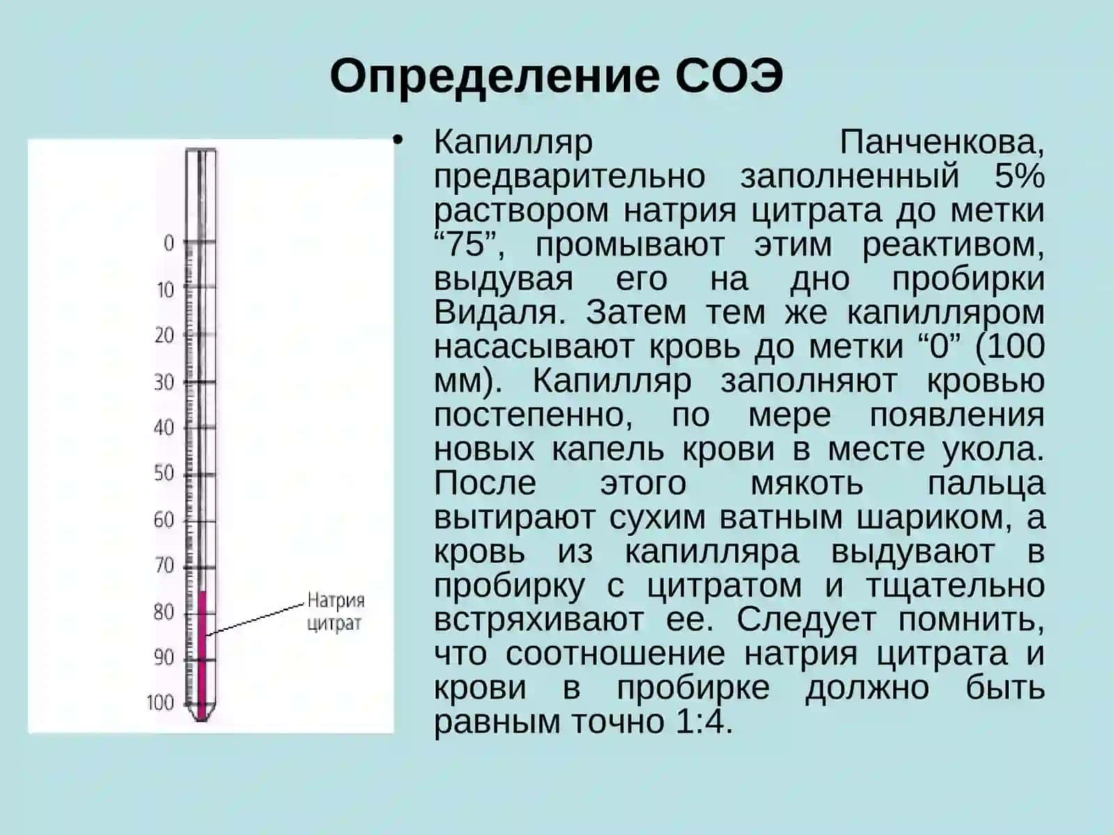 Общий анализ крови 4