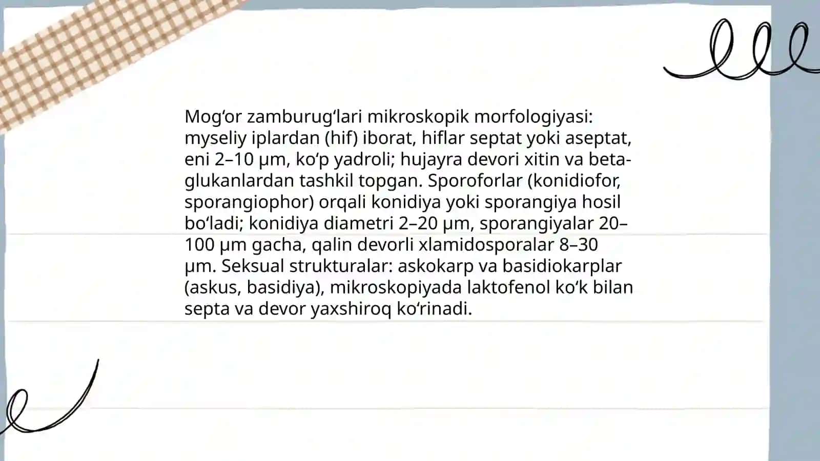 Mog‘or zamburug‘lari 4