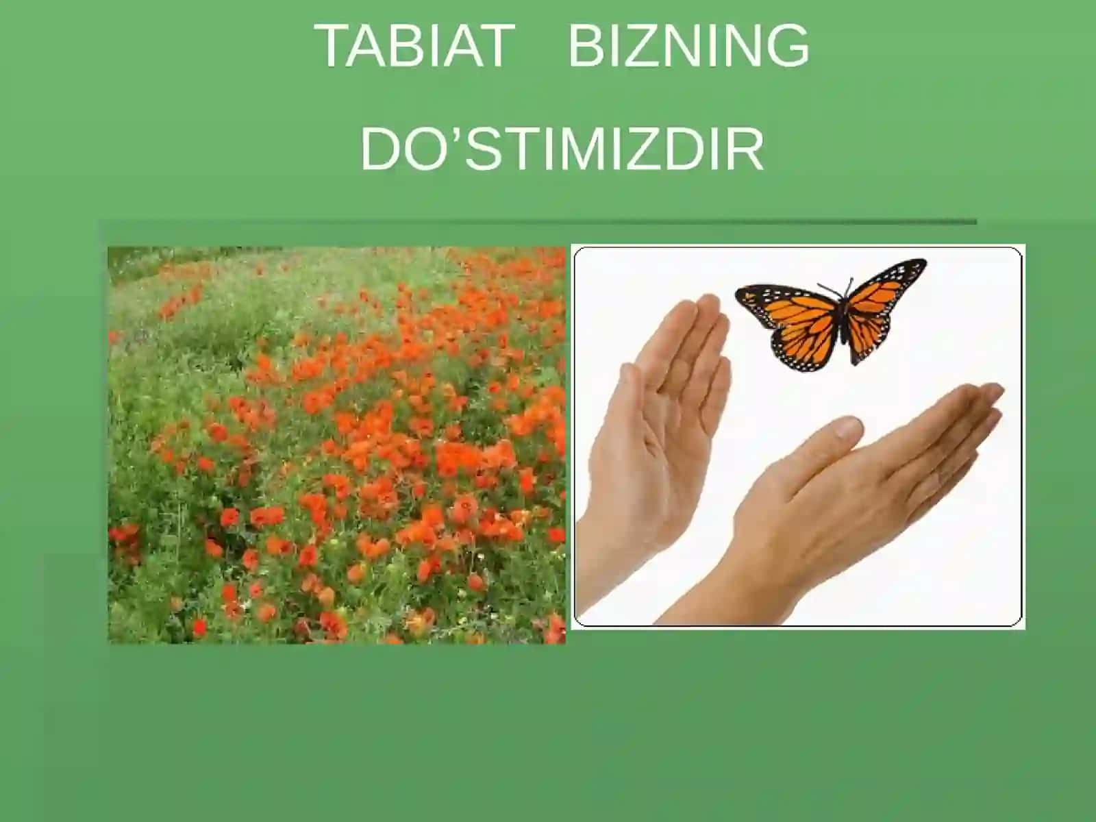 TABIATNI ASRASH HAR BIRIMIZNING BURCHIMIZDIR 4
