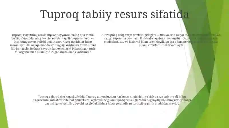 Tuproqlarning Inson Hayotidagi Roli 4