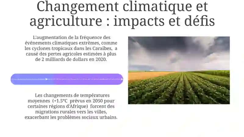 Changement climatique et ses effets sur l‘agriculture et les habitudes sociales 4