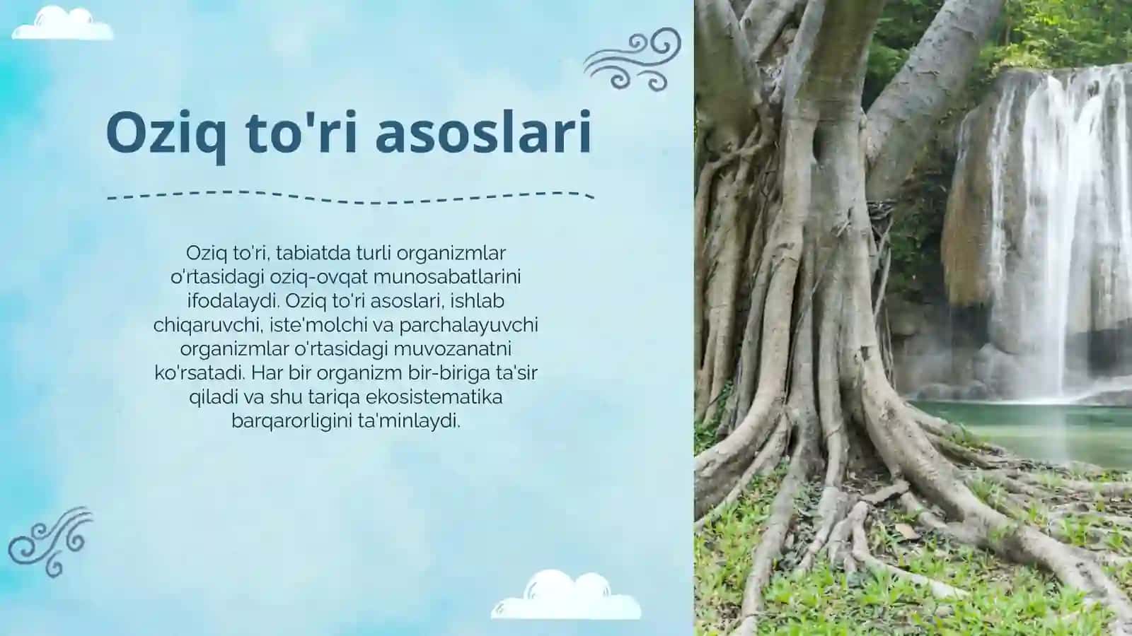 Oziq to'ri va ozuqa zanjiri 4