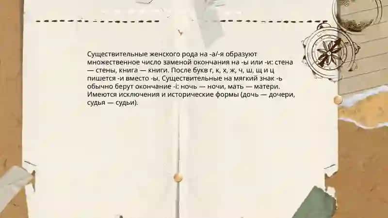 Множественное число имен существительных 4
