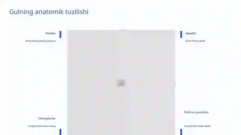 Gullarning Tuzilishi 4