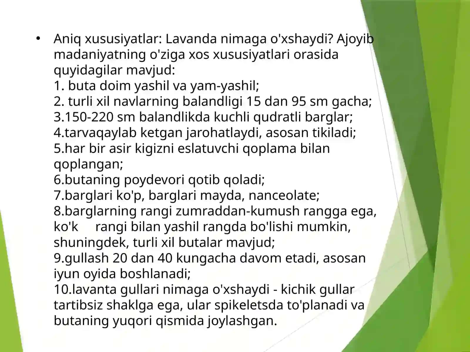 Lavanda oʻsimligi haqida maʼlumotlar 4