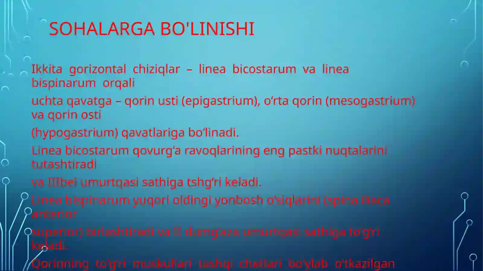 Qorinning topografik anatomiyasi 4