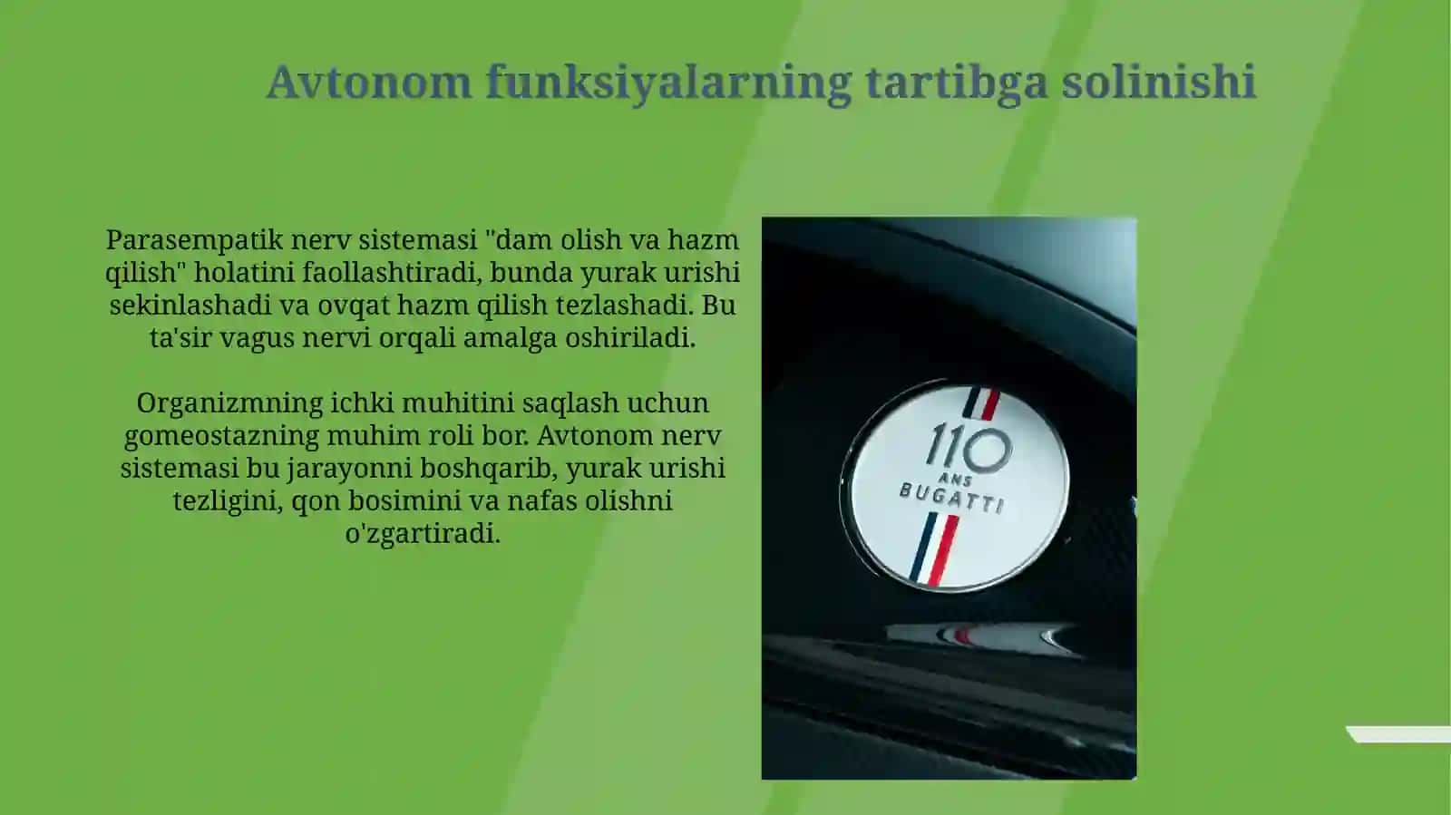 Avtonomnervsistemasi 4