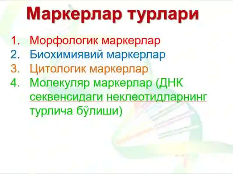 МОЛЕКУЛЯР МАРКЕРЛАР 4