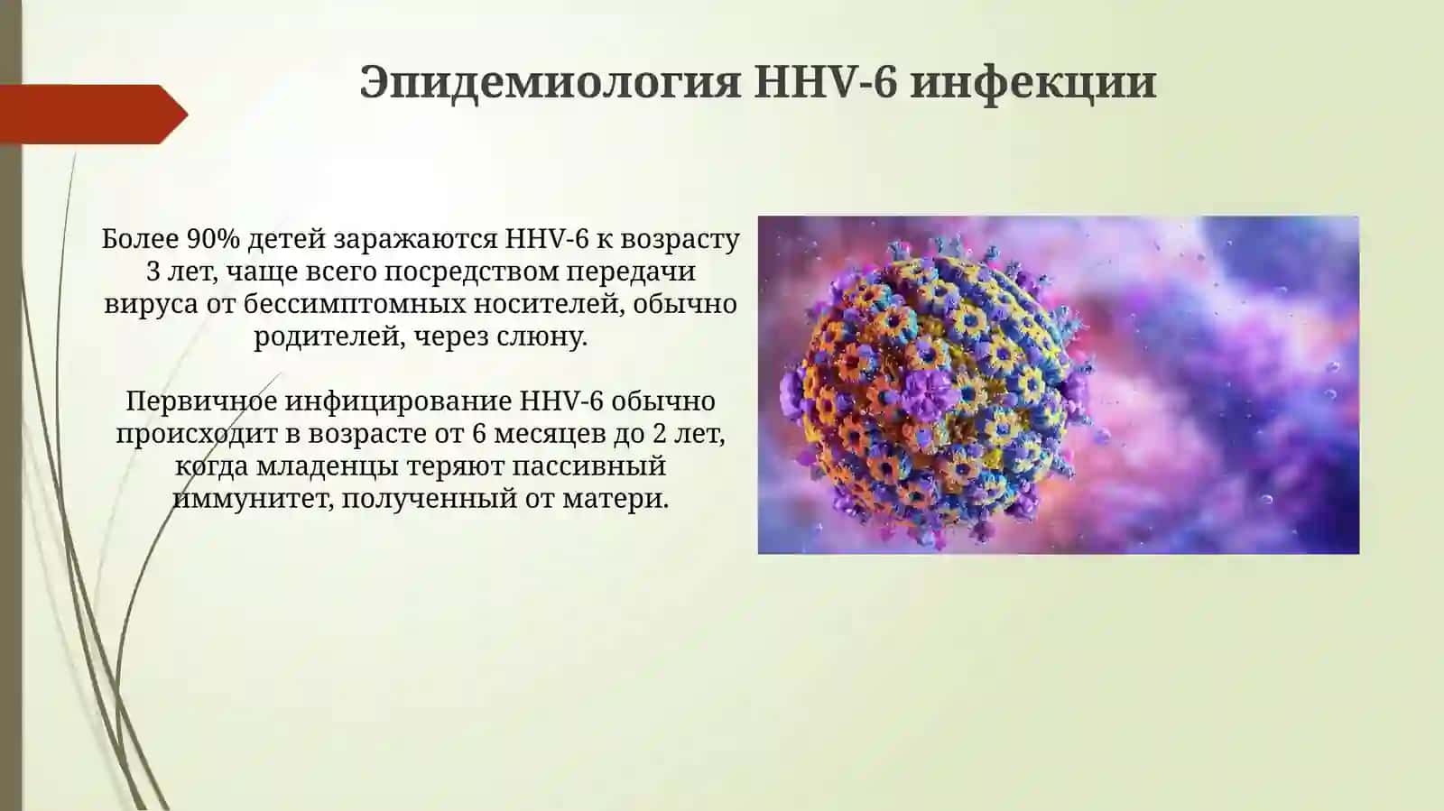 Инфекция герпеса человека 6-го типа 4