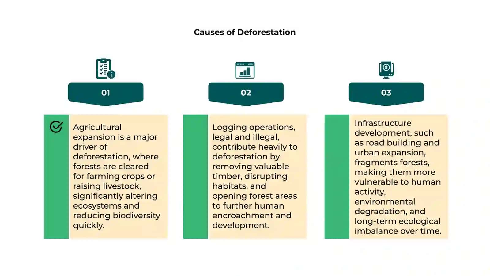 Deforestation 4