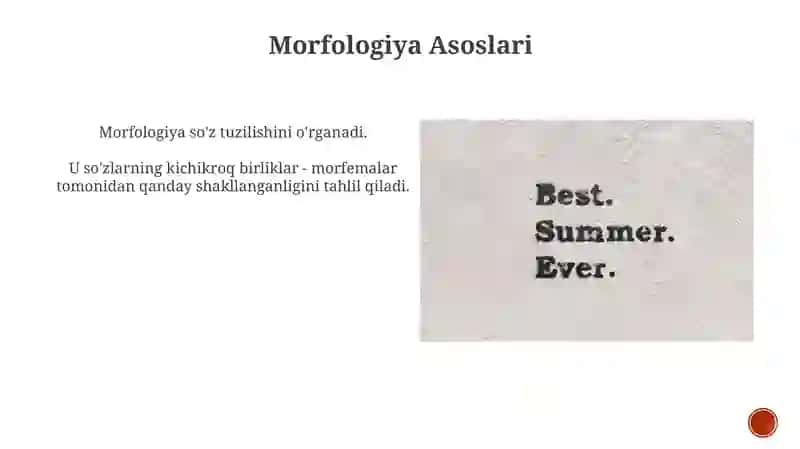 Morfologiya 4